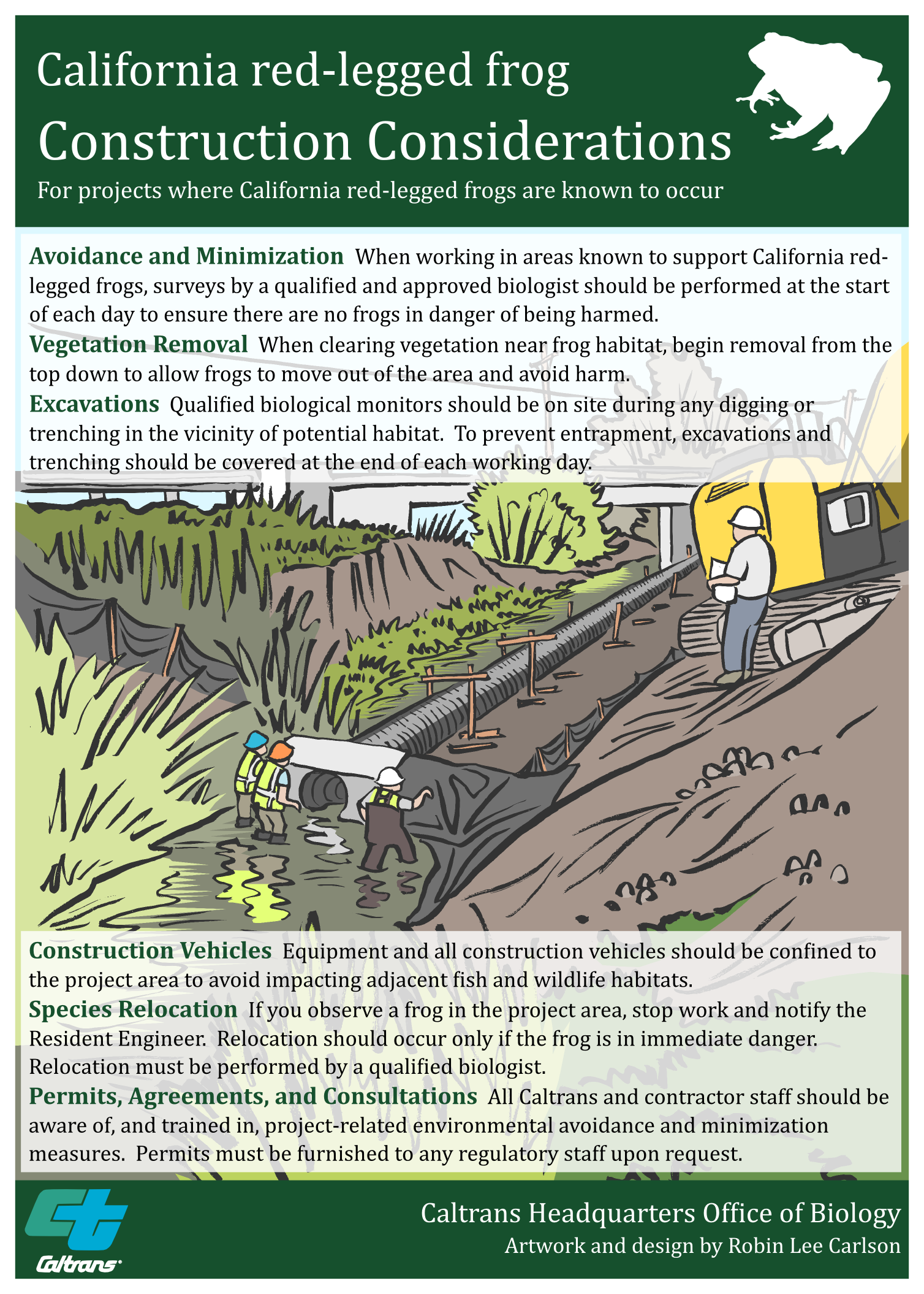 California Red legged frog poster back