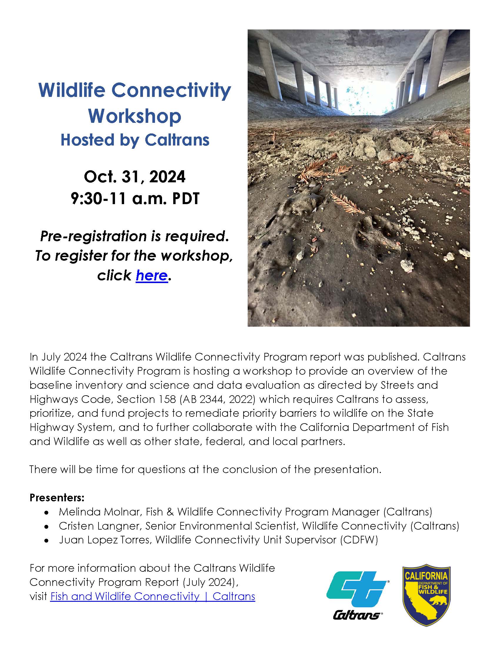 Wildlife Connectivity Workshop Invite
