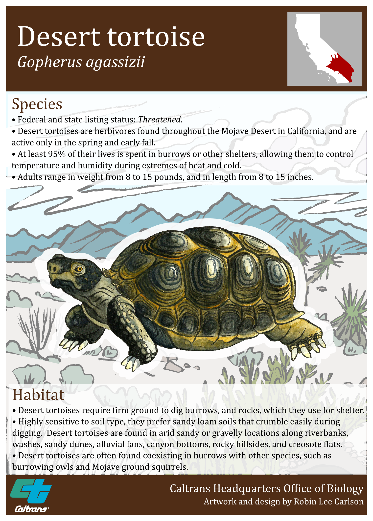 Desert Tortiose Poster - Front